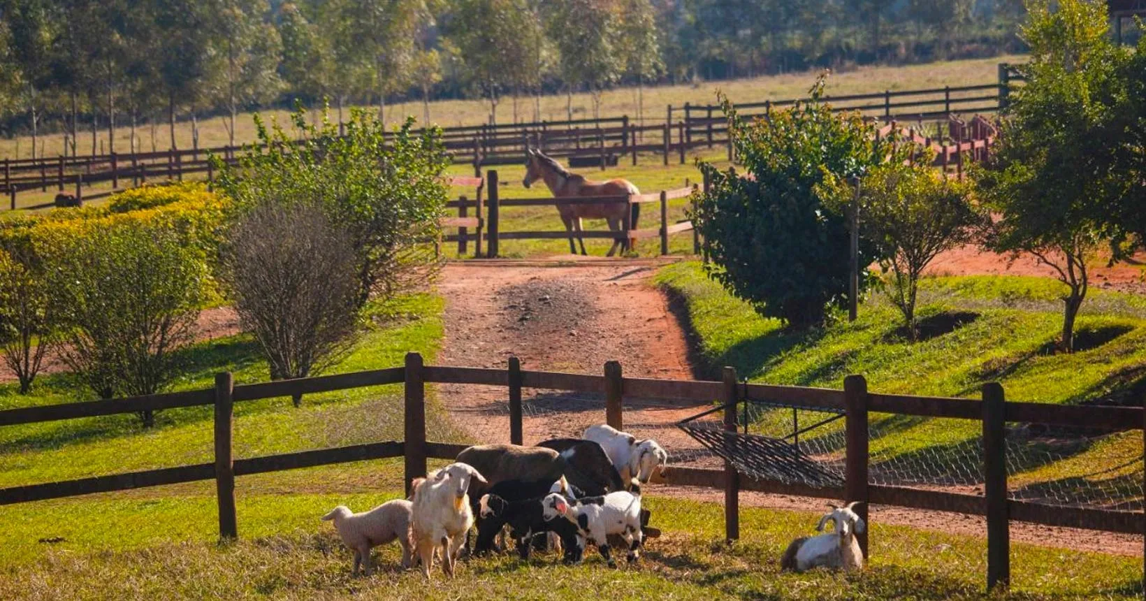 Fazenda